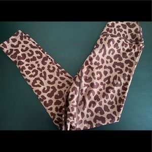 Balance athletica kingdom